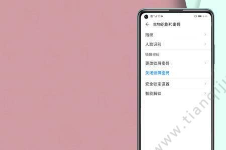 一键锁屏怎么用不了指纹