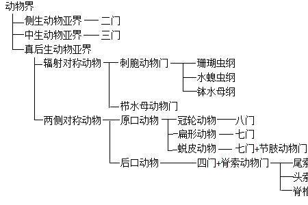 尾索动物和头索动物的区别