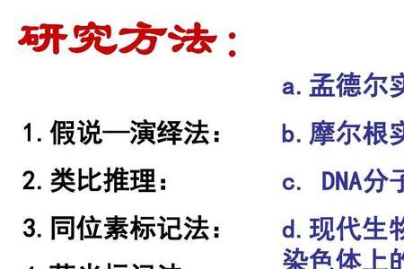 摩尔根的测交实验的两种方法