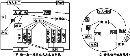 一个完整的生态系统包括什么