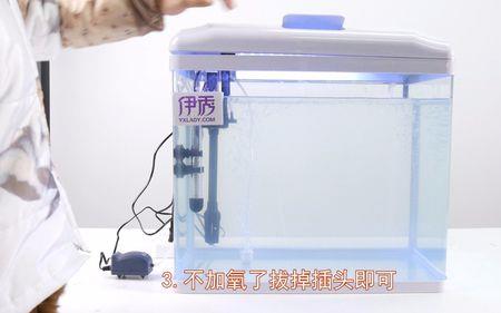 鱼缸气泡破裂水就能有氧气