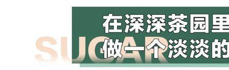 形容茶叶小众又惊艳的两字词