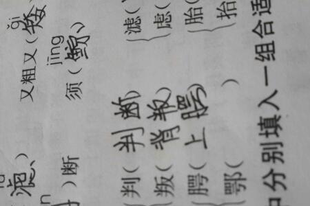 dai字可以组什么词