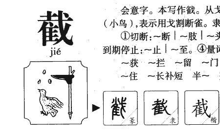 用凡是和都组词