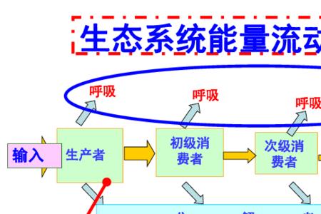 生态系统特点