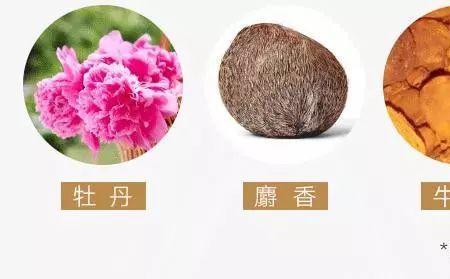 8味是什么意思