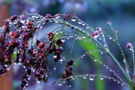 天上下的雨水洗眼可以吗