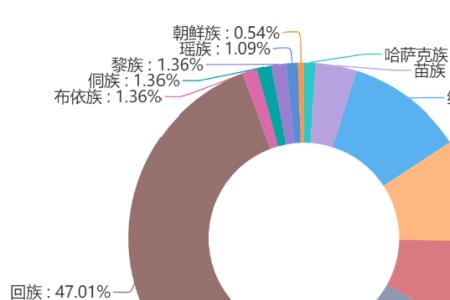 维族有汉姓吗