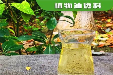 闪点65度用明火能点燃吗