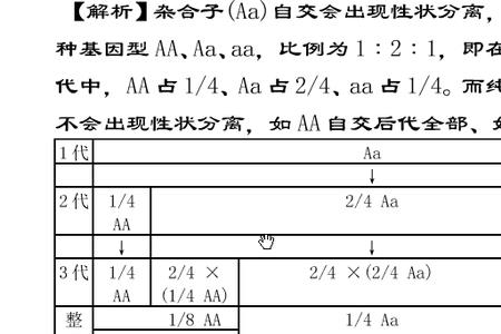 子代和亲代的区别