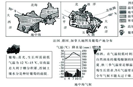 法国南部属于典型的什么气候