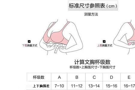 上海的abcd代表多少分