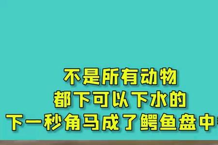 不能下水指什么动物