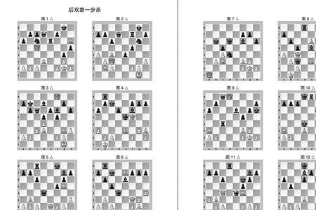 国际象棋后象可以吃谁