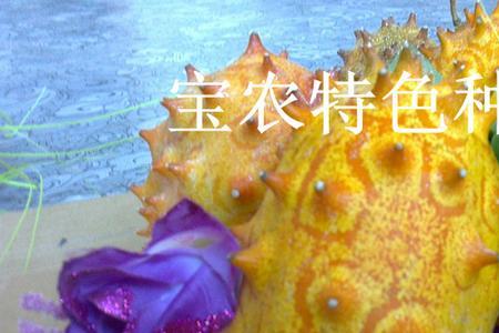 火参果种植气候条件