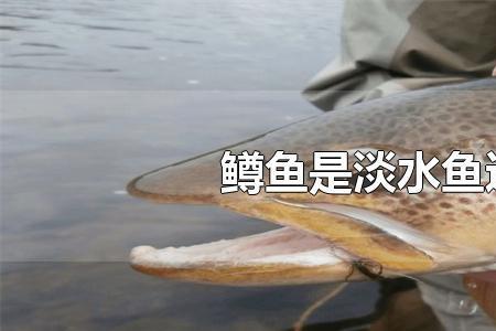 淡水鱼和海水鱼死后能不能吃