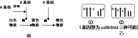 什么叫正反交