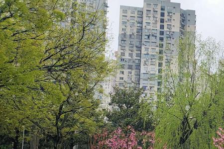 雨后的春天什么意思