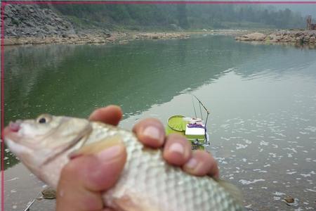 夏季水库退水钓深还是钓浅