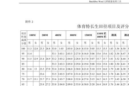 体育特长情况介绍