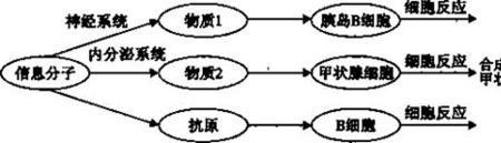 什么信息分子发挥作用后失活