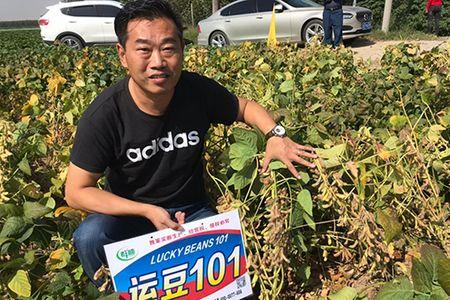 东北大豆种子哪个国家的