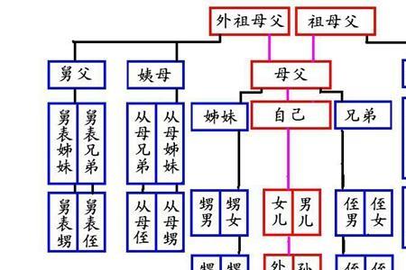 从兄弟与堂兄弟的区别