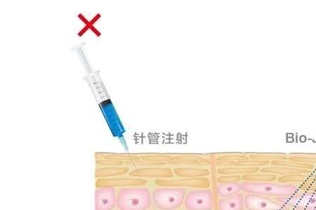 中胚层的作用有哪些