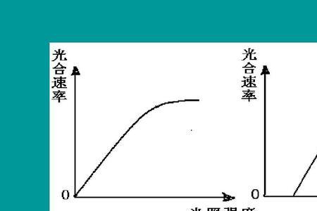 净光合速率图像解析