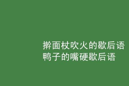 擀面杖扑火歇后语