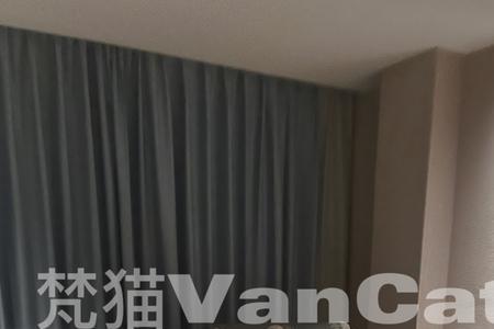 vancat梵猫为什么生意这么好