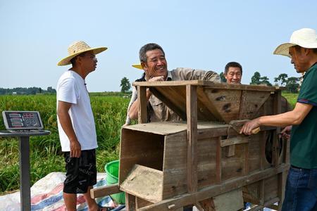 四川一挑田是多少平方