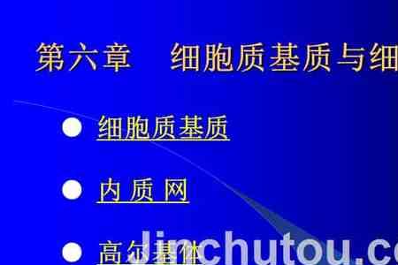 细胞质与细胞质基质的区别