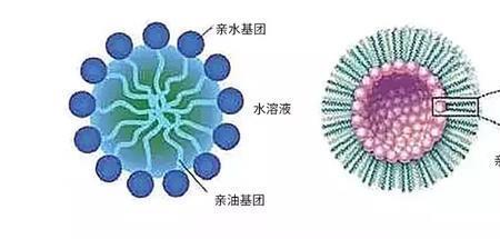 亲水基有哪些