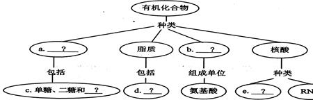 生物体内的主要能源物质