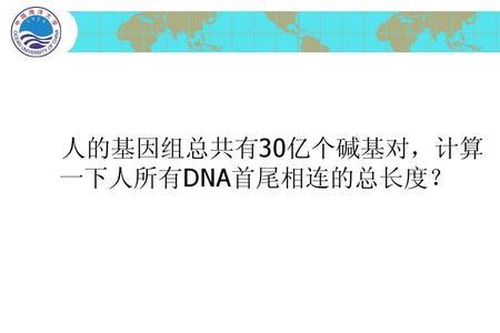 dna最稳定的碱基对