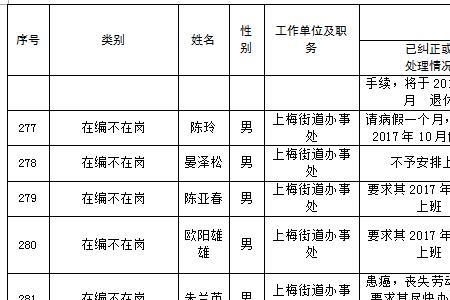 在岗不在编什么意思