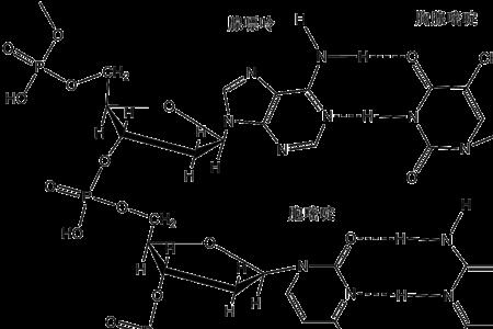 氢键的形成原因