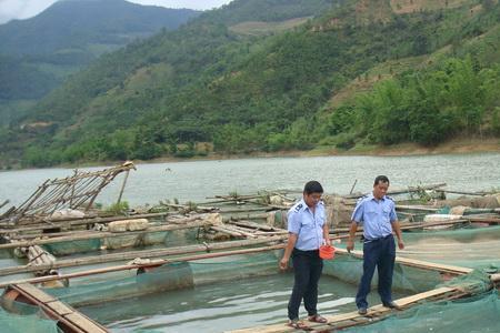 水库网箱养鱼利弊何在