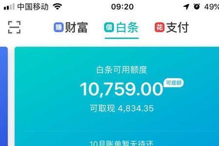 京东白条逾期还本金流程