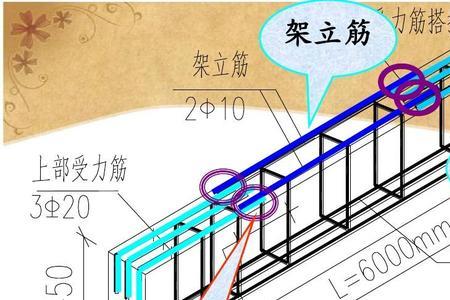 筏板架立筋可以当受力筋用吗