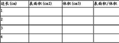 细胞的表面积与体积是什么关系