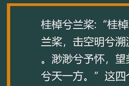 桂棹兮兰桨中棹的意思