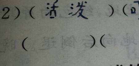 什么的壳填词语