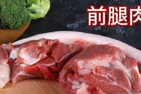 前腿骨和后腿骨的区别