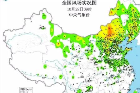 12米每秒是几级风