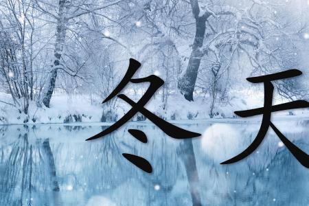 含有冰雪字的成语有哪些