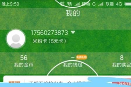 10011是直接查询流量吗