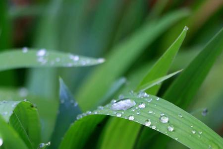 春雨贵如油的贵的含义