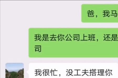 挺老实中的挺是什么意思